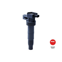 Ritė, uždegimas NGK 48274