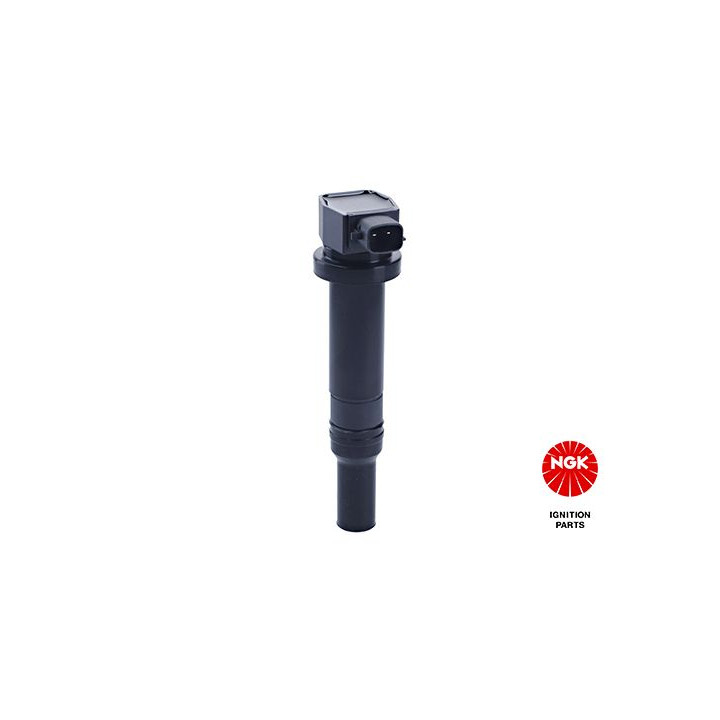 Ritė, uždegimas NGK 48275