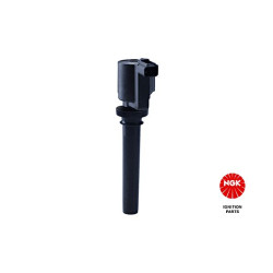 Ritė, uždegimas NGK 48276