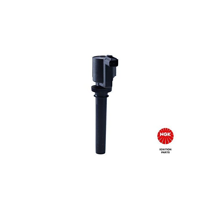 Ritė, uždegimas NGK 48276