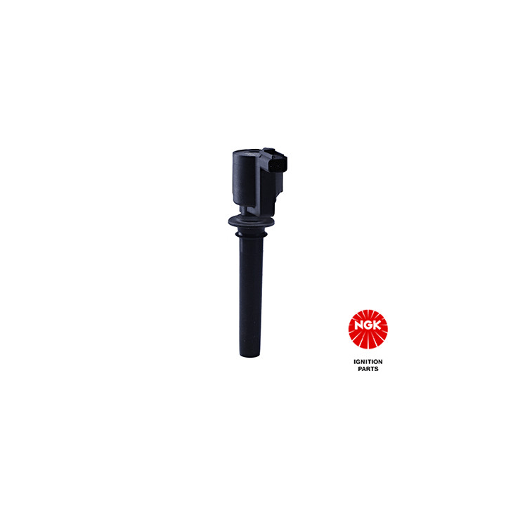 Ritė, uždegimas NGK 48276