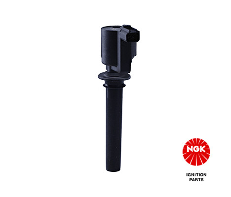 Ritė, uždegimas NGK 48276