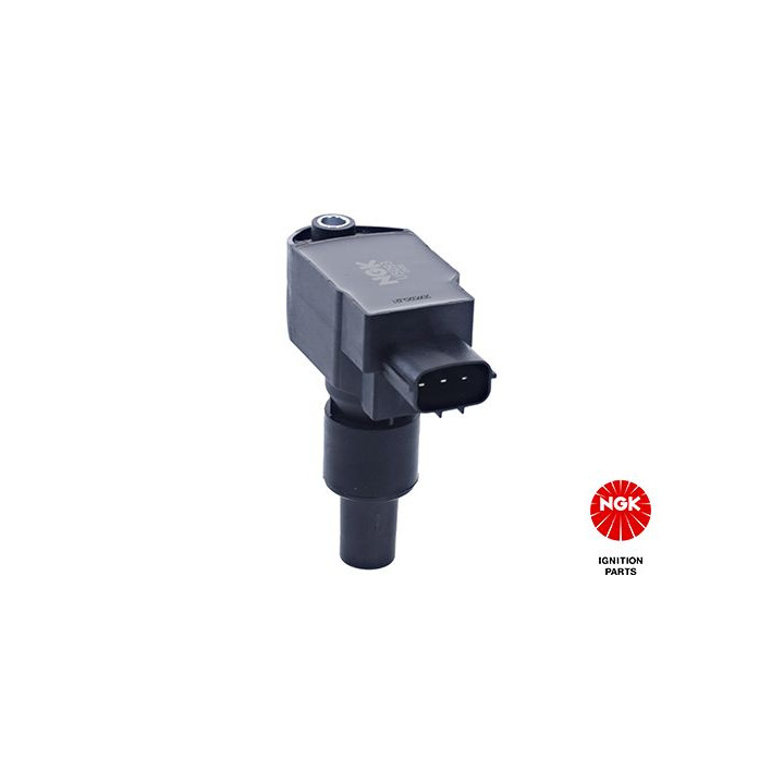 Ritė, uždegimas NGK 48283