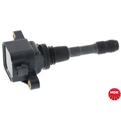 Ritė, uždegimas NGK 48284