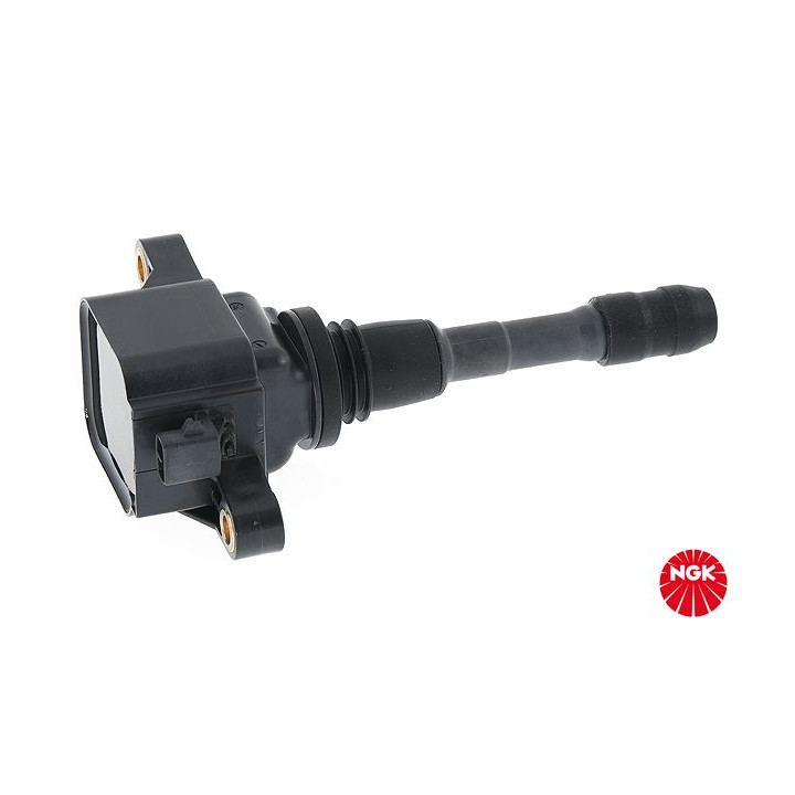 Ritė, uždegimas NGK 48284