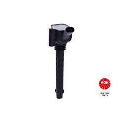 Ritė, uždegimas NGK 48286