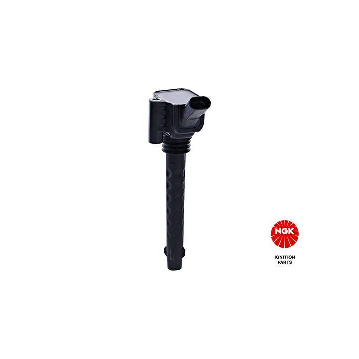 Ritė, uždegimas NGK 48286