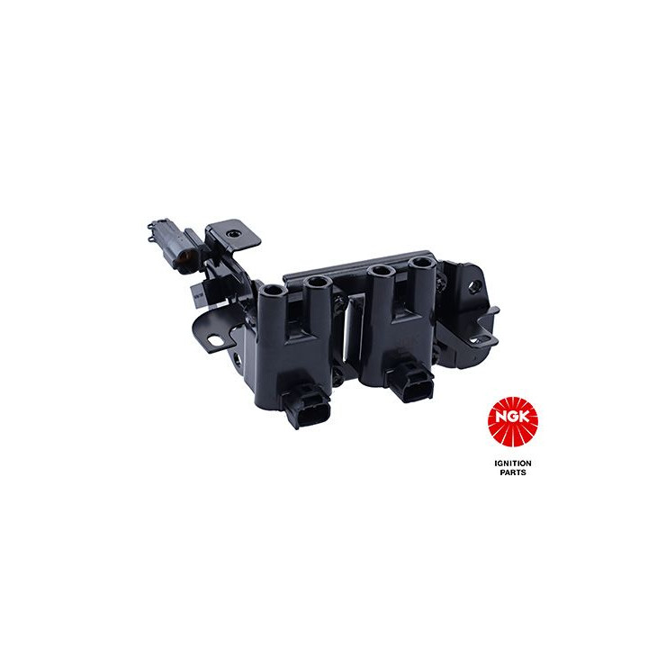 Ritė, uždegimas NGK 48287