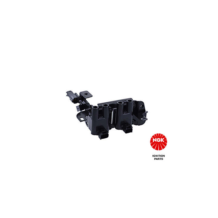 Ritė, uždegimas NGK 48287