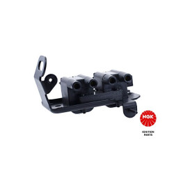 Ritė, uždegimas NGK 48288