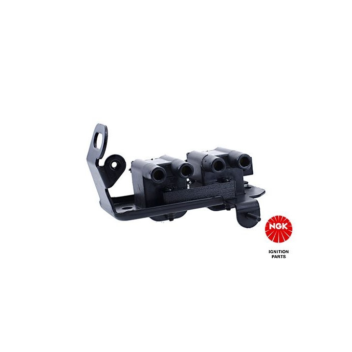 Ritė, uždegimas NGK 48288