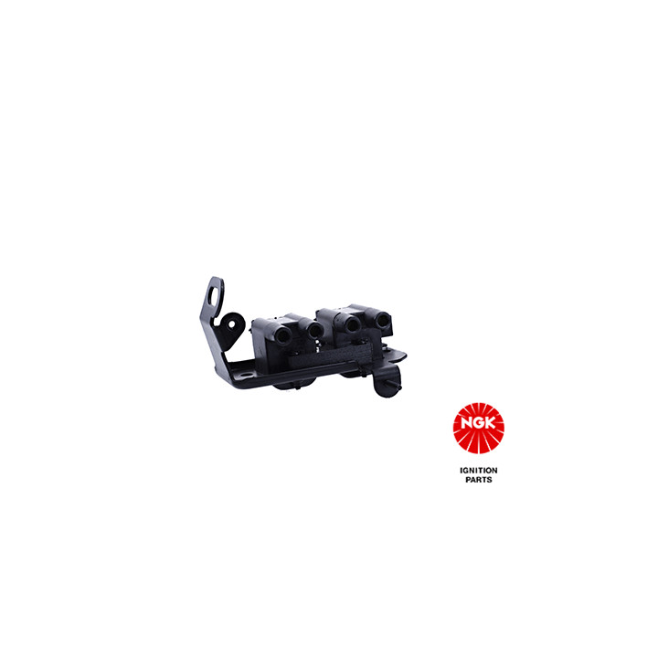 Ritė, uždegimas NGK 48288