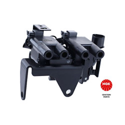 Ritė, uždegimas NGK 48290