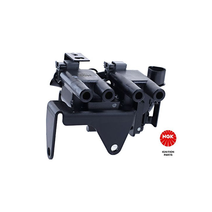 Ritė, uždegimas NGK 48290