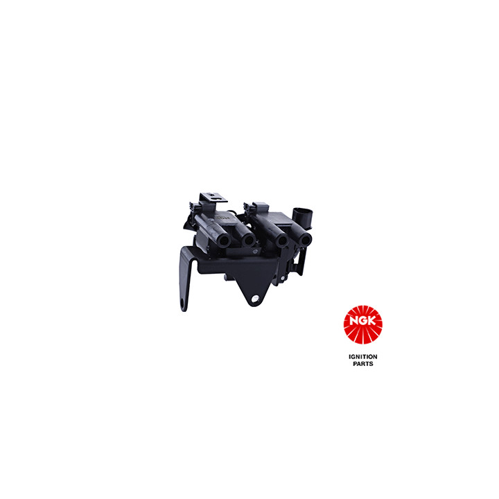 Ritė, uždegimas NGK 48290