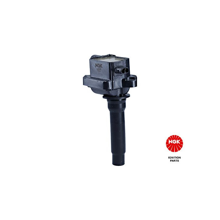 Ritė, uždegimas NGK 48291