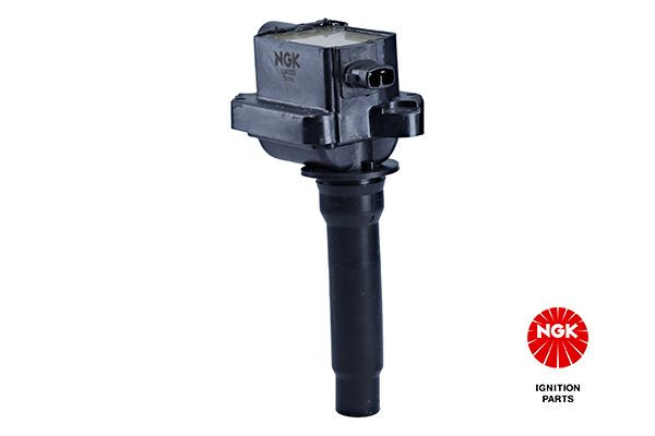 Ritė, uždegimas NGK 48291