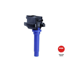 Ritė, uždegimas NGK 48294