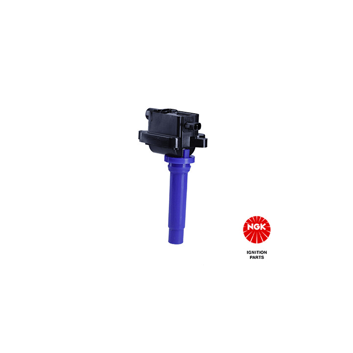 Ritė, uždegimas NGK 48294