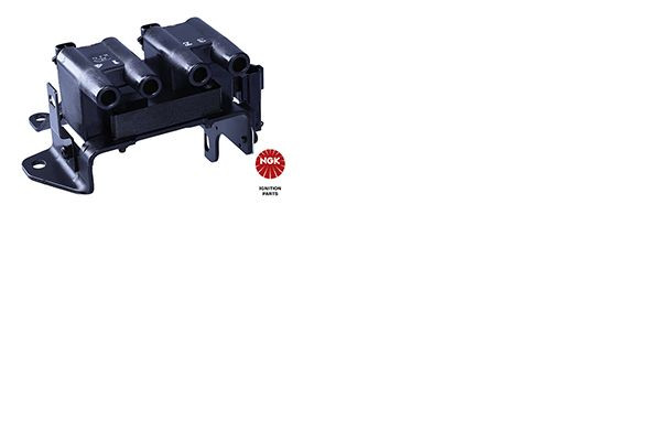 Ritė, uždegimas NGK 48296