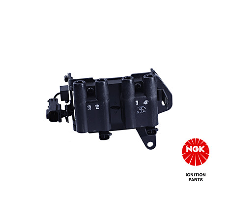 Ritė, uždegimas NGK 48296