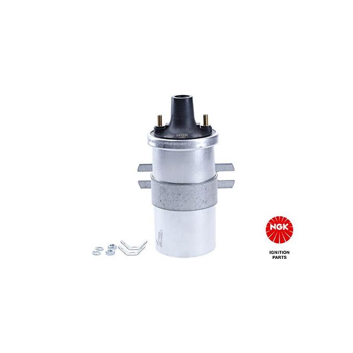 Ritė, uždegimas NGK 48298