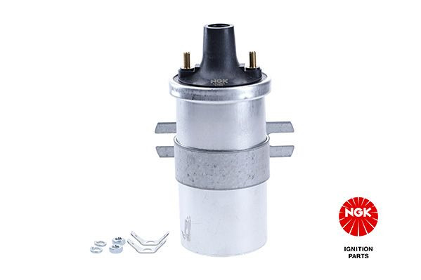 Ritė, uždegimas NGK 48298