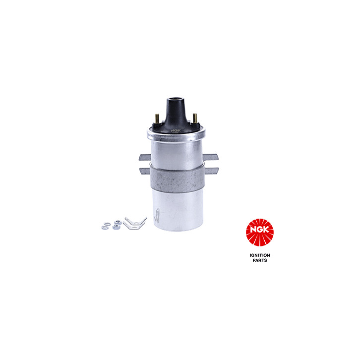 Ritė, uždegimas NGK 48298