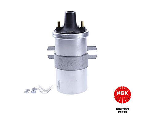 Ritė, uždegimas NGK 48298