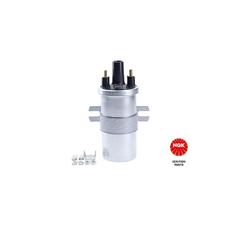 Ritė, uždegimas NGK 48302