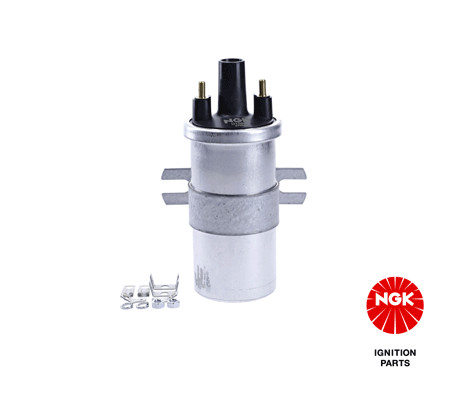 Ritė, uždegimas NGK 48302