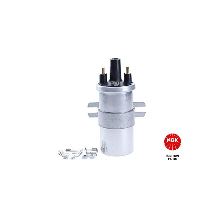 Ritė, uždegimas NGK 48305