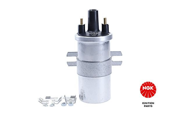 Ritė, uždegimas NGK 48305