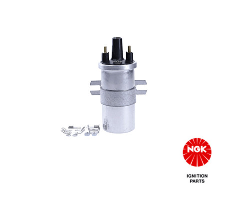 Ritė, uždegimas NGK 48305