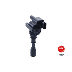 Ritė, uždegimas NGK 48313