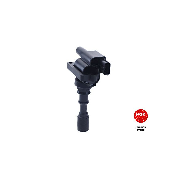 Ritė, uždegimas NGK 48313