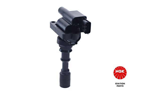 Ritė, uždegimas NGK 48313