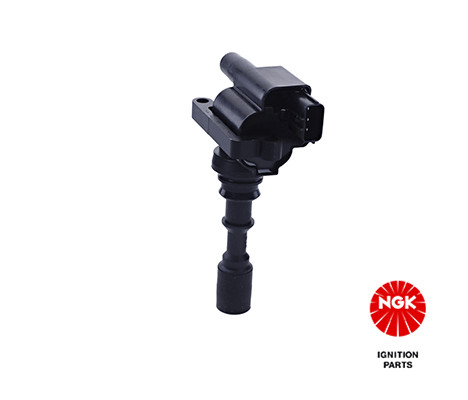 Ritė, uždegimas NGK 48313