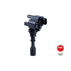 Ritė, uždegimas NGK 48314