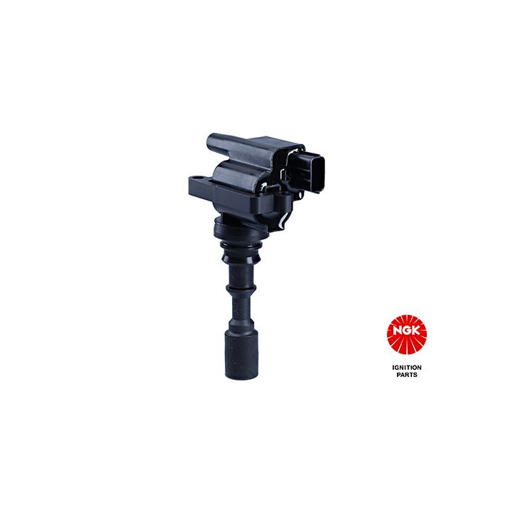 Ritė, uždegimas NGK 48314