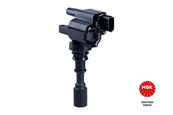 Ritė, uždegimas NGK 48314