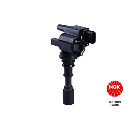 Ritė, uždegimas NGK 48314