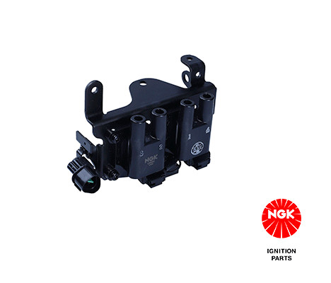 Ritė, uždegimas NGK 48315