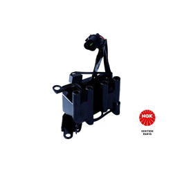 Ritė, uždegimas NGK 48316