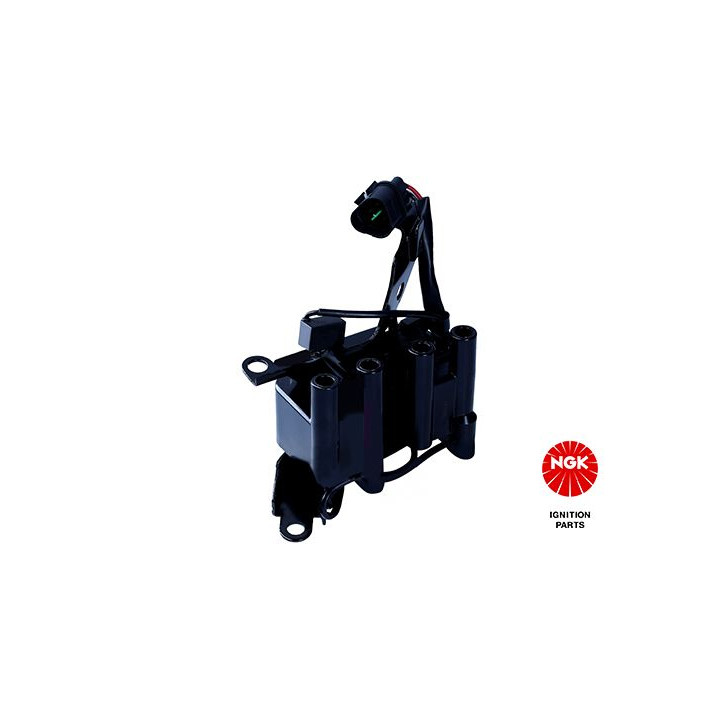 Ritė, uždegimas NGK 48316