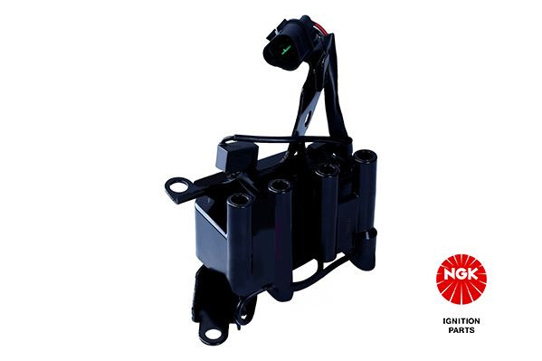 Ritė, uždegimas NGK 48316