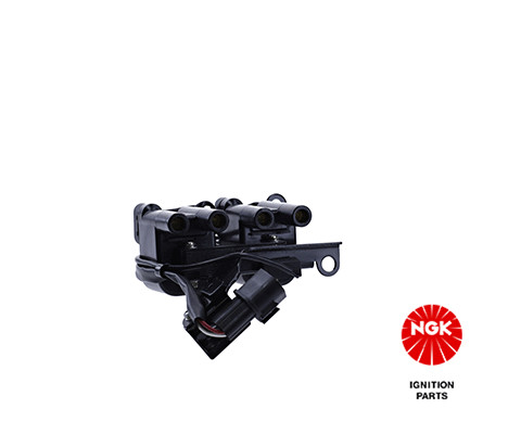 Ritė, uždegimas NGK 48316