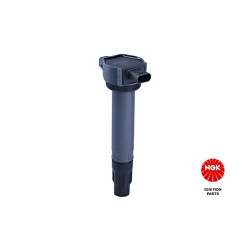 Ritė, uždegimas NGK 48321