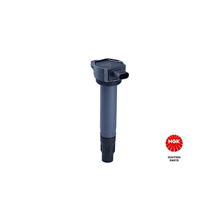 Ritė, uždegimas NGK 48321