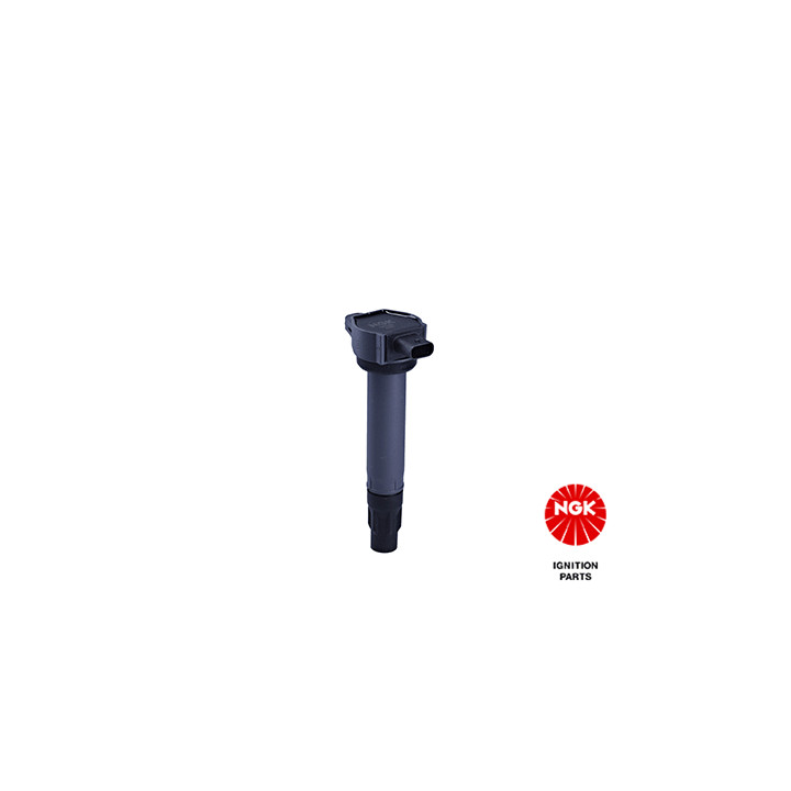 Ritė, uždegimas NGK 48321